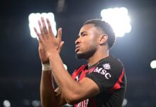fenerbahceye nkunku mujdesi kulubu bonservisi belirledi LDqpvl56