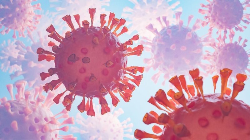 hantavirus nedir nasil bulasir belirtileri ve korunma yollari 1 DcmnSSZL