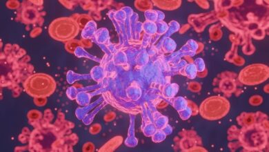 Hantavirüs nedir, nasıl bulaşır? Belirtileri ve korunma yolları 10 hantavirus nedir nasil bulasir belirtileri ve korunma yollari lyqla5LR