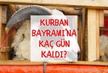 kurban bayrami 2026 kac gun kurban bayrami ne vakit Vj2vODVe