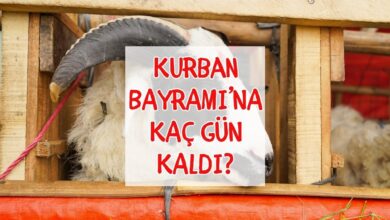 Kurban Bayramı 2026 kaç gün? Kurban Bayramı ne vakit? 8 kurban bayrami 2026 kac gun kurban bayrami ne vakit Vj2vODVe