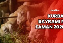 Kurban Bayramı ne vakit? Kurban Bayramı tatili kaç gün? 12 kurban bayrami ne vakit kurban bayrami tatili kac gun dHONIFwL