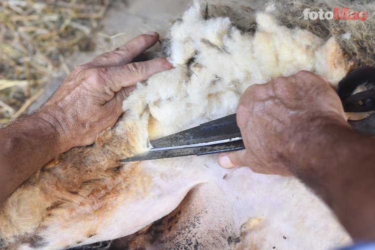 Kurban eti nasıl doğranır? Kemikli et doğrama ve parçalama teknikleri 8 kurban eti nasil dogranir kemikli et dograma ve parcalama teknikleri 6 JyYGG5Dw