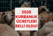 kurban fiyatlari ne kadar kac tl vilayet il buyukbas kucukbas kurbanlik fiyatlari YBckTF1C