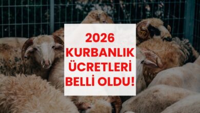 kurban fiyatlari ne kadar kac tl vilayet il buyukbas kucukbas kurbanlik fiyatlari YBckTF1C