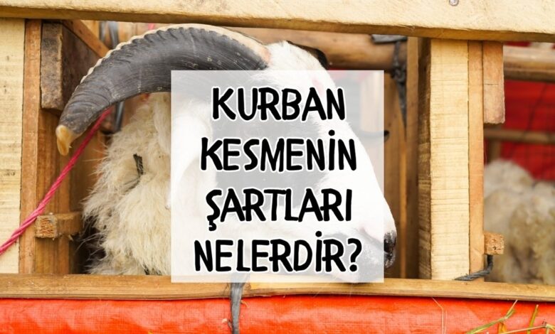 Kurban kesmenin koşulları nelerdir, kimler kurban kesmeli? 1 kurban kesmenin kosullari nelerdir kimler kurban kesmeli kI5pzWMa