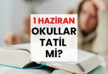 Pazartesi günü okullar tatil mi? 1 Haziran okullar açılıyor mu? 15 pazartesi gunu okullar tatil mi 1 haziran okullar aciliyor mu nmeOhXyy