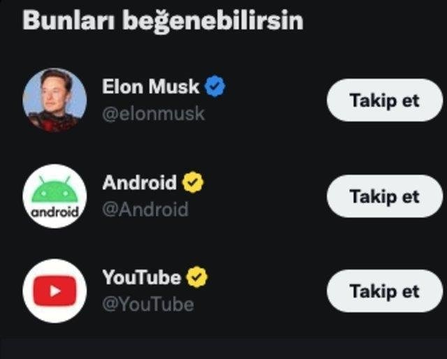 sari mavi gri tik nedir twitterda sari mavi gri tik ne ise yarar gsnBdwtK