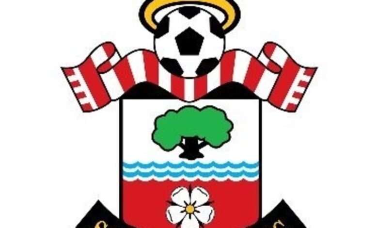 southampton icin ihrac karari hull citynin yeni rakibi middlesbrough y7RBf7Lc