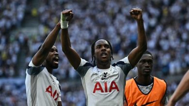 Tottenham son hafta kazanarak Premier Lig'de kaldı! 7 tottenham son hafta kazanarak premier ligde kaldi PFOtslw8