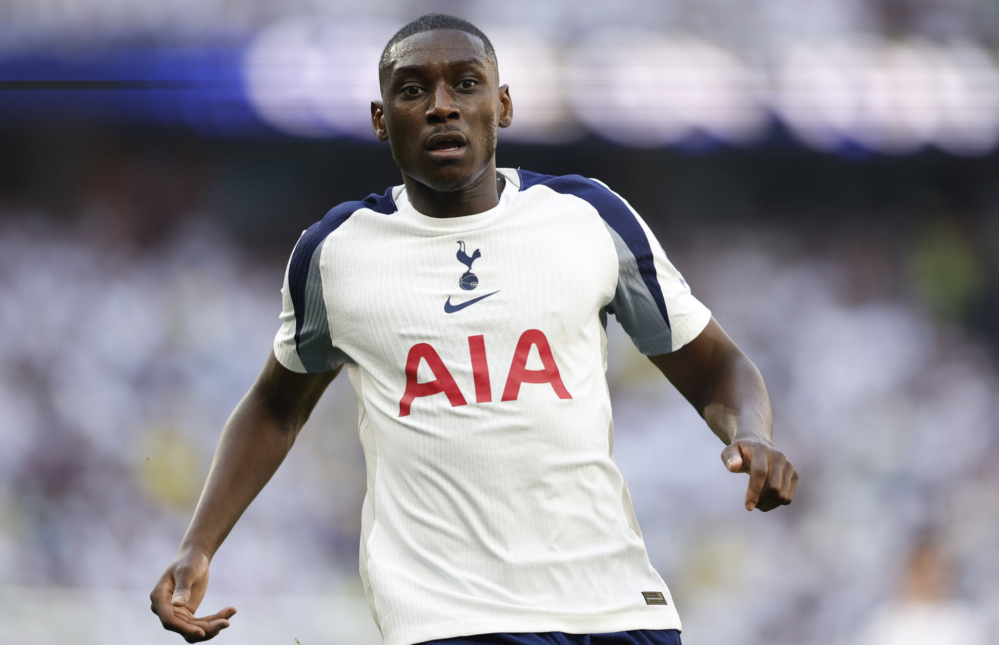 victor osimhen galatasaraydan ayrilirsa yerine o gelecek transferde flas haber 6 KyUTl5Aw