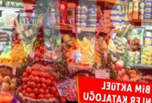 bim katalog 19 haziran cuma bim aktuel indirimli eserler tam liste XnJGaD81