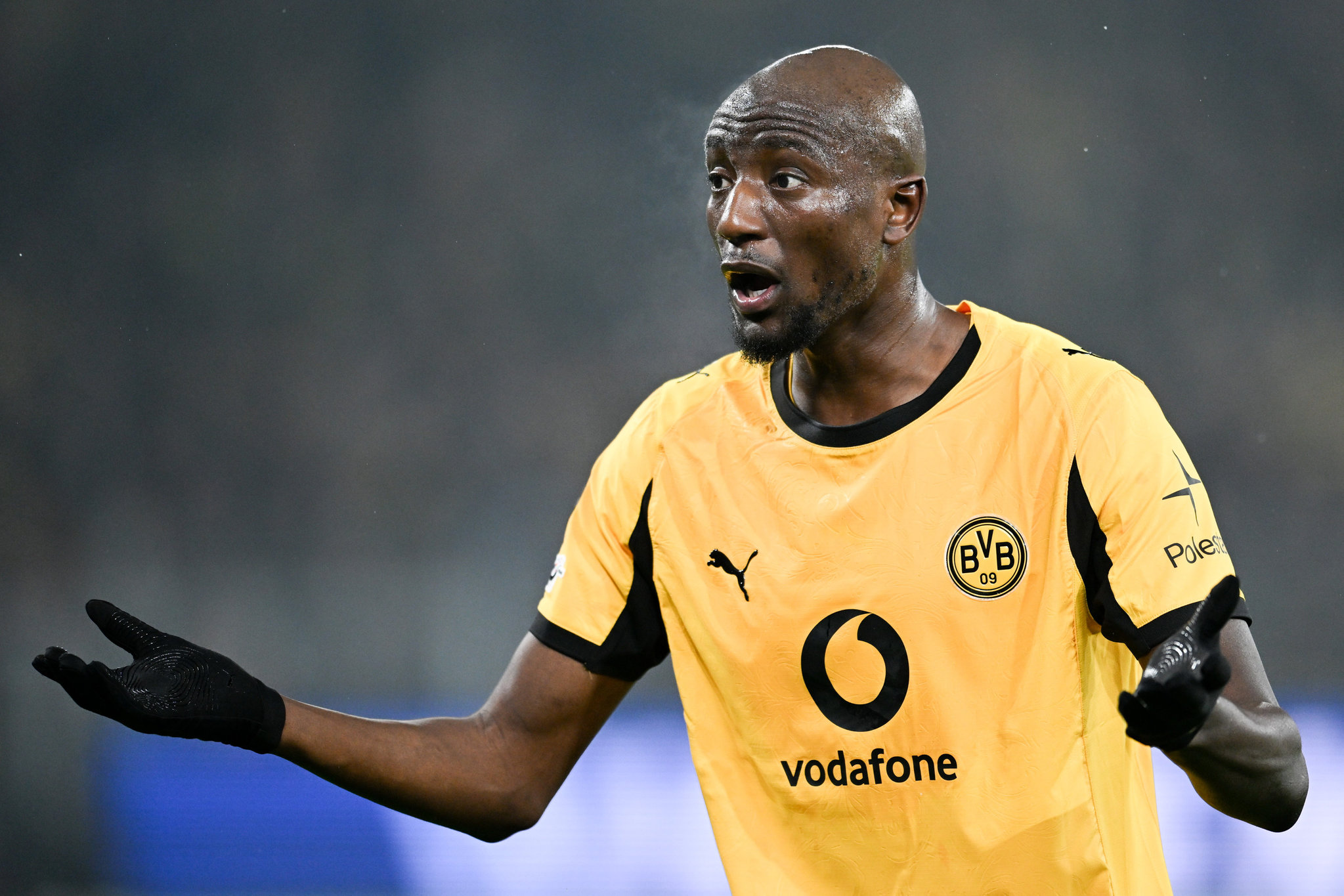 borussia dortmunddan serhou guirassy transferi hakkinda resmi aciklama fenerbahce 6 VJKsELuD