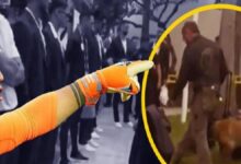 dunya kupasinda uruguaya kopekli arama yildiz oyuncular neye ugradigini sasirdi tum dunyadan yansilar yukseldi axaTH7Gf