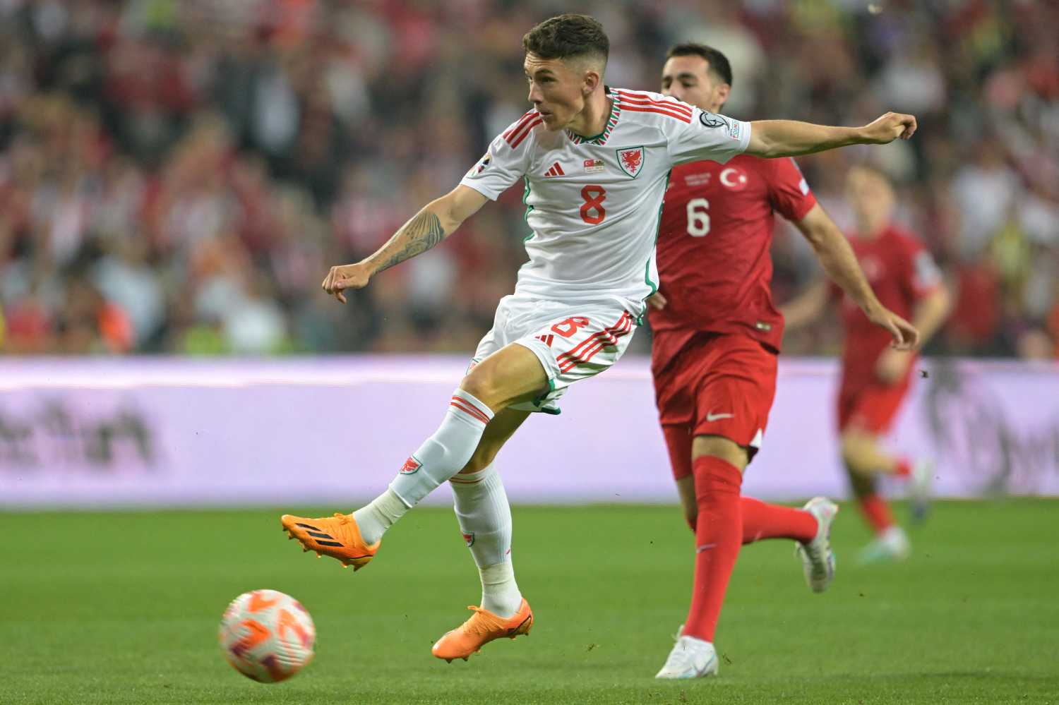 Fenerbahçe'de Aziz Yıldırım'dan transferde Harry Wilson hamlesi! 5 fenerbahcede aziz yildirimdan transferde harry wilson hamlesi 3 m1Iht5cy