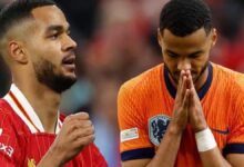 Gakpo için transfer savaşı! Süper Lig devleri devreye girdi 20 gakpo icin transfer savasi super lig devleri devreye girdi Dx4HQGSg