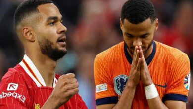 Gakpo için transfer savaşı! Süper Lig devleri devreye girdi 11 gakpo icin transfer savasi super lig devleri devreye girdi Dx4HQGSg