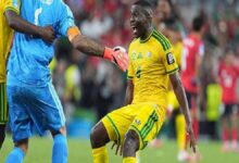 guney afrika tarih yazdi son 32ye kaldi guney afrika guney kore mac sonucu rc48eeHC