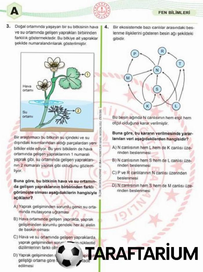 LGS 2026 SORULARI VE YANIT ANAHTARI ✍️ LGS imtihan soruları (sayısal-sözel) ve yanıt kitapçıkları görüntüleme MEB ekranı 21 lgs 2026 sorulari ve yanit anahtari lgs imtihan sorulari sayisal sozel ve yanit kitapciklari BfrDedEb