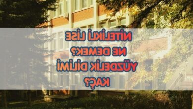 nitelikli lise ne demek nitelikli lise yuzdelik dilimi kac BFu7QXxO
