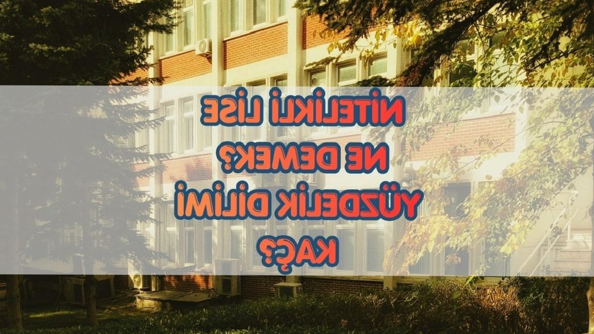 Nitelikli lise ne demek? Nitelikli lise yüzdelik dilimi kaç? 12 nitelikli lise ne demek nitelikli lise yuzdelik dilimi kac