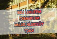 nitelikli lise ne demek nitelikli lise yuzdelik dilimi kac PyzrkQzX