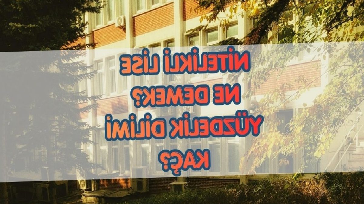 Nitelikli lise ne demek? Nitelikli lise yüzdelik dilimi kaç? 11 nitelikli lise ne demek nitelikli lise yuzdelik dilimi kac PyzrkQzX
