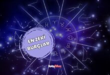 onlardan hicbir sey kacmaz en zeki burclar hangileri 3DRW9Bql