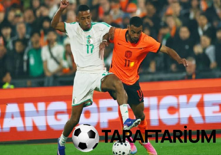 transfer haberi besiktas ile fenerbahceden cody gakpo kapismasi 10 dHzf2GEa