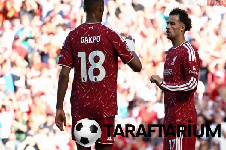 transfer haberi besiktas ile fenerbahceden cody gakpo kapismasi 5 8bfM7Ire