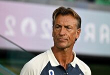 Tunus Futbol Federasyonu, ulusal kadro teknik yöneticiliğine Renard'ı getirdi 10 tunus futbol federasyonu ulusal kadro teknik yoneticiligine renardi getirdi 7QNj5fwr