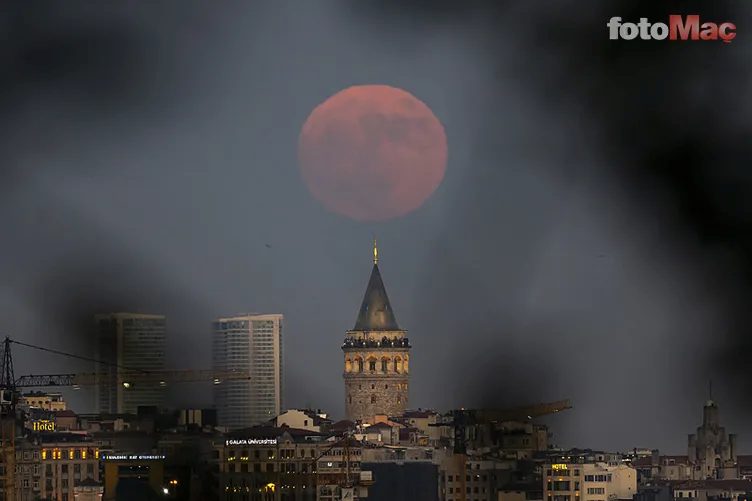 Çilek Dolunayı nedir? Tesirleri neler? Burçlara nazaran Çilek Dolunayı tesirleri 9 cilek dolunayi nedir tesirleri neler burclara nazaran cilek dolunayi tesirleri 7 5X5mKt3n