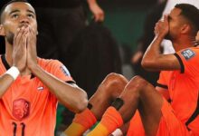 Cody Gakpo golünü attı, hüngür hüngür ağladı! Maçtan evvel doğmamış oğlunu kaybetti... 14 cody gakpo golunu atti hungur hungur agladi mactan evvel dogmamis oglunu kaybetti FevJG31z