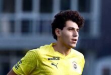 Fenerbahçe'de Omar Fayed piyangosu! İtalya'dan talibi çıktı 22 fenerbahcede omar fayed piyangosu italyadan talibi cikti HDmDQqkr