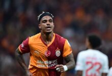 lemina tamam M4VIGh1q