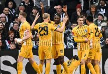 newcastle 1 2 brighton mac sonucu ozet k6xj3jkP