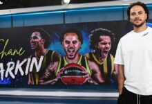 Shane Larkin'den Fenerbahçe itirafı 13 shane larkinden fenerbahce itirafi i5FtdqKU