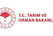 tarim ve orman bakanligi 1874 personel alimi kaideler ve tarih 87SDYTfX