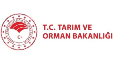 tarim ve orman bakanligi 1874 personel alimi kaideler ve tarih 87SDYTfX