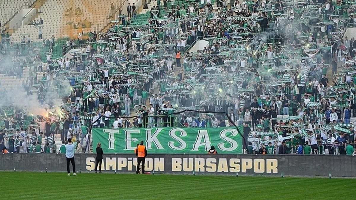 timsah arda turani agirliyor qtdTN289