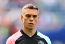 trossard fenerbahceye transfer olacak mi menajeri acikladi ciHBaeFN