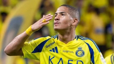 Angelo önerisi 8 angelo onerisi ePyiMql3