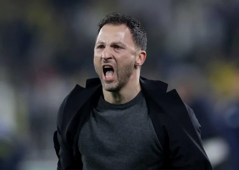 Domenico Tedesco'dan Fenerbahçe itirafı! "Hayatım boyunca unutmayacağım" 3 domenico tedescodan fenerbahce itirafi hayatim boyunca unutmayacagim 1