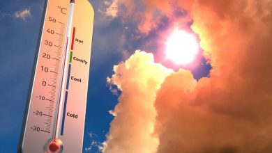 El Nino sıcakları ne vakit 2026? Muhteşem El Nino Türkiye'yi etkileyecek mi? 11 el nino sicaklari ne vakit 2026 muhtesem el nino turkiyeyi etkileyecek mi tsj2sweM