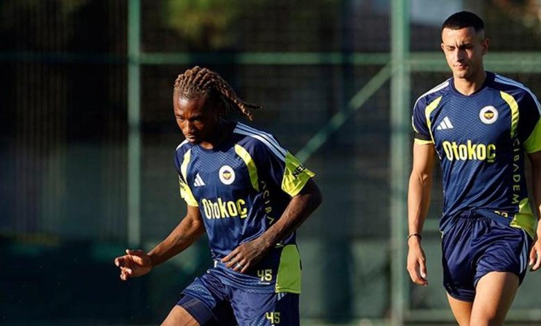 Fenerbahçe, Lyon maçının hazırlıklarına devam etti 1 fenerbahce lyon macinin hazirliklarina devam etti yDOFekk1