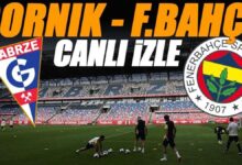 gornik zabrze fenerbahce maci canli izle fb maci sifresiz sampiyonlar ligi maci uYFfIx12