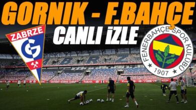 gornik zabrze fenerbahce maci canli izle fb maci sifresiz sampiyonlar ligi maci uYFfIx12