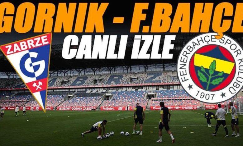 gornik zabrze fenerbahce maci canli izle fb maci sifresiz sampiyonlar ligi maci uYFfIx12