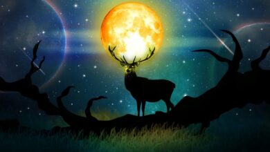 kova dolunayi burclari nasil etkileyecek 29 temmuz geyik dolunayi tesirleri W5agG9Kv