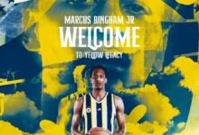 marcus bingham jr fenerbahcede pNEg8hdb